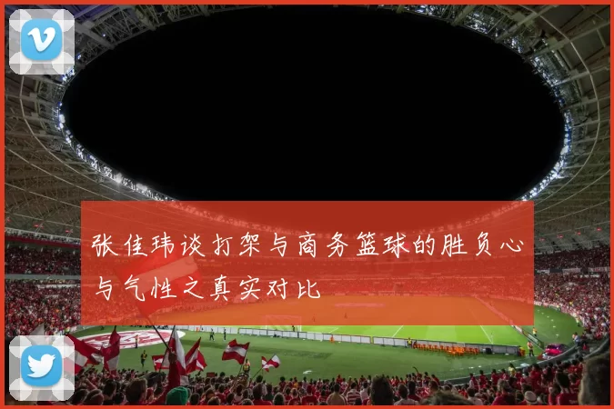 张佳玮谈打架与商务篮球的胜负心与气性之真实对比