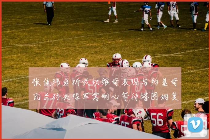 张佳玮分析武切维奇表现与约基奇瓦兰对决绿军需耐心等待塔图姆复出